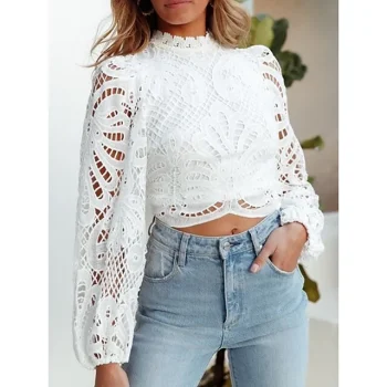 Blouse Women's White Plain Lace Patchwork Casual Going out Elegant Fashion Standing Collar Regular Fit S
